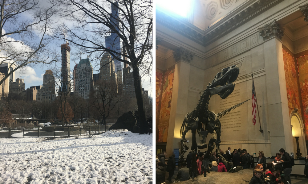 Central Park Nat History Museum
