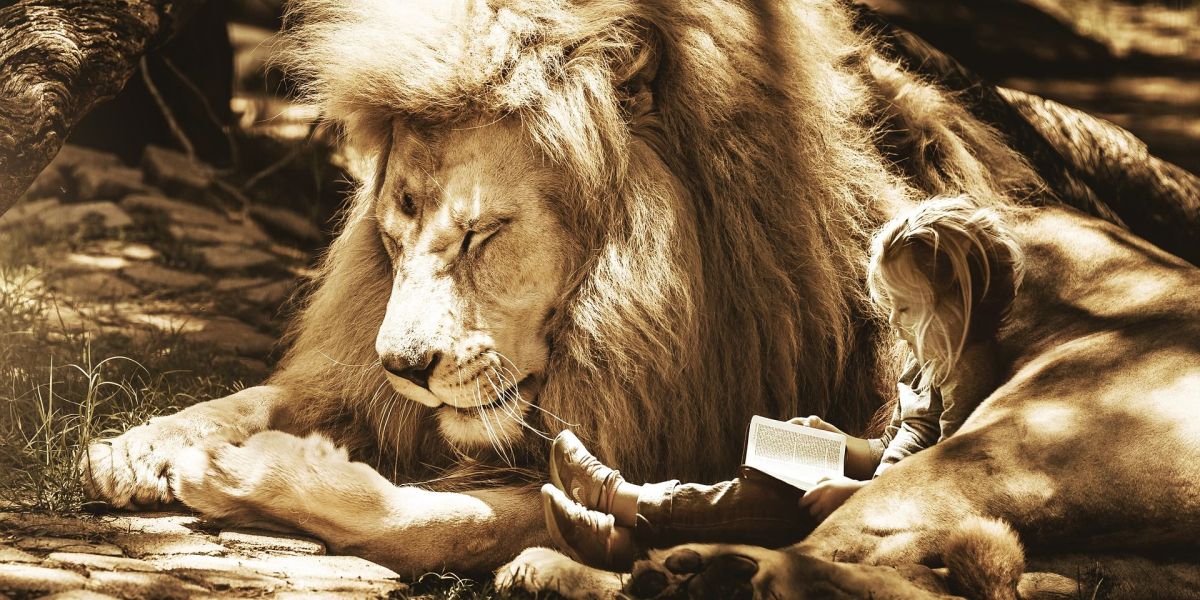 sleep reading_1200x600